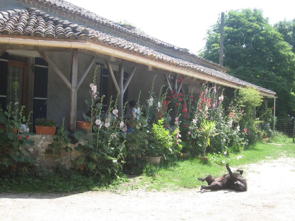 Chambres D'Hotes Le Chintre Queyssel Exterior photo